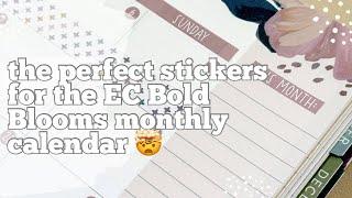 The PERFECT stickers for the Erin Condren Bold Blooms monthly layout !