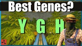 Rust Genetics Guide | What They Do & When to Use Y, G, or H