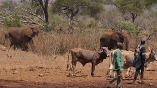 Prevent Human-Wildlife Conflict