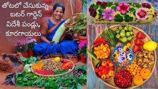 Cranberries,Rose Apples,Goose Berries,Swiss Chard,Habanero Peppers - Edible Flowers Butter Garden 