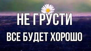 🪗«Ты не грусти в пути своём.»  Новая песня. 2024.