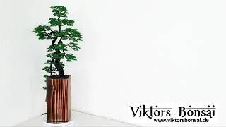 ViktorsBonsai "Himalaya" Drahtbaum, Bonsai, Dekoration, Wire Tree, Baum aus Draht.