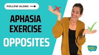 Aphasia Speech Therapy at Home  - Opposites