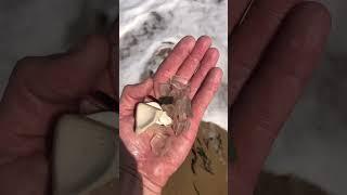 Seaglass hunting… sacrificing glass for a star find!