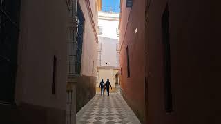 Shorts walk at Santa Cruz , Seville Spain #shorts