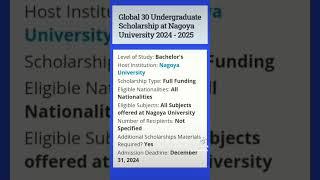 Global 30 Undergraduate Scholarship at Nagoya University 2024 - 2025