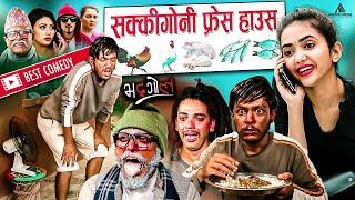 सक्किगोनी फ्रेस हाउस | Best Comedy | Nepali Comedy | Bhadragol | Pade, Bale, Kokroach, Munni