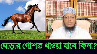 ঘোড়ার গোশত খাওয়া যাবে কিনা?মুফতি আলাউদ্দিন জিহাদি। Mufti Alauddin jihadi ||Modinar pagol