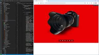 Easy 3D Model Viewer- adding the 3D model and set the initial camera