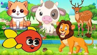 naming and knowing  the animals - Cat Cow Deer Fish Lion