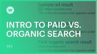 How search works: paid vs. organic search traffic - SEO tutorial