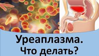 Уреаплазма.  Что делать?