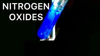Making Dinitrogen Trioxide and Nitrogen Dioxide (1/2)