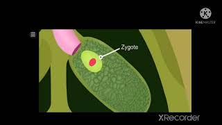 7th science plant reproduction 2