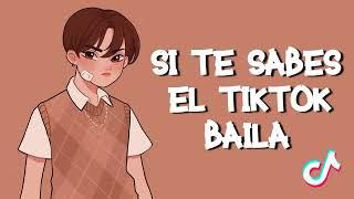 SI TE SABES EL TIKTOK BAILA! 2022 RBS TIKTOK