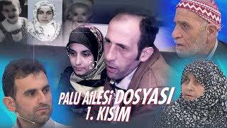 İlk Günden Bugüne Palu Ailesi Dosyası - 1. Kısım