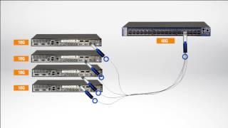 Mellanox Breakout Cables Usage