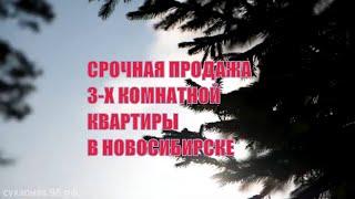 ПРОДАНО/Купить 3-к квартиру в Новосибирске/Счастье жить рядом с природой/Сухарная 96