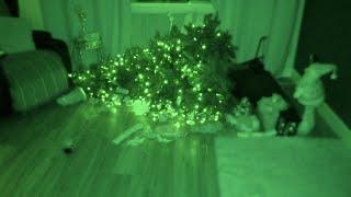 Christmas Tree Totally DESTROYED in My Haunted House