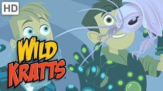 Wild Kratts  Incredible Creatures! (Part 2) | Kids Videos