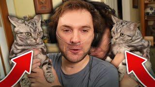 Scar Introduces His New Cats To His Viewers...