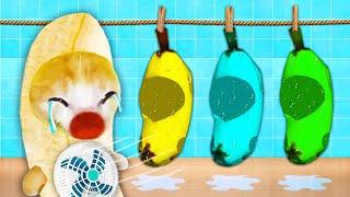 Banana Cat and the Wet Clothes Mystery!  Baby Banana Cat Compilation | Happy Cat Crying MEME 