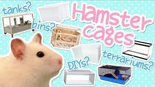  Which cages are best for hamsters? 