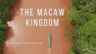 The Macaw Kingdom | Documentary [Expedition Edition] HD