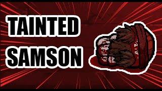 TAINTED SAMSON EXPERIENCE