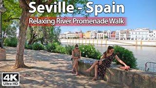 Walking Around Seville's River Promenade ️ 4K Virtual Walk Tour, Spain