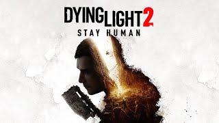 Dying Light 2  Massive stuttering when in combat with human enemies