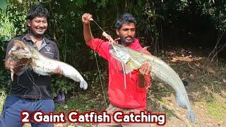 Amazing Big Size Pathan Fish Catching | Catfish Catch in Dhanua River || Pathan Fish Catching