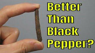 Long Pepper (fresh fruit review) - Weird Fruit Explorer Ep. 309