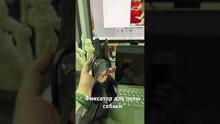 Фиксатор для лапы собаки на 3d-принтере