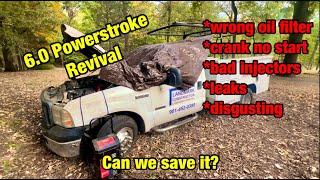 6.0 Powerstroke Revival