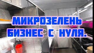 БИЗНЕС НА МИКРОЗЕЛЕНИ | КАК НАЧАТЬ | СКОЛЬКО ПРИНОСИТ ПРИБЫЛИ ДОМАШНЯЯ ТЕПЛИЦА???