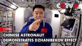 Chinese Astronaut Demonstrates Dzhanibekov Effect in Space Lecture