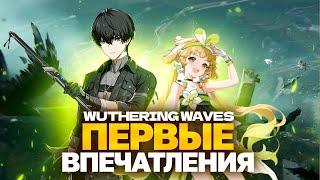 Поиграл в Wuthering Waves