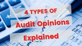 Explaining the 4 Types of Audit Opinions | Public Administration 101 | Quick Video @ConsultKano