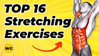 TOP 16 Stretching Exercises For Beginners (Do These Every Morning And After Workout)