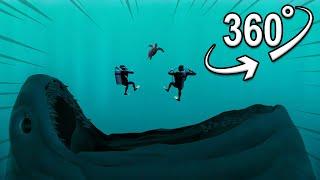 The Bloop - I encountered a bloop monster while scuba diving | VR 360°