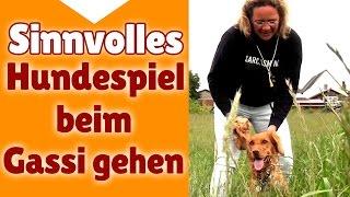 ►► Hundespiele  Sinnvolle Hunde Spiele beim Gassi gehen - Stephanie Salostowitz 