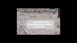 Maalesef böyle ve karşımızdaki adı "İnsan " olan işte.