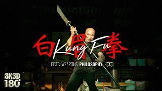 Pak Mei Kung Fu in 3D VR180 | Authentic Chinese Martial Arts: Fists, Weapons & Philosophy