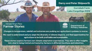 NSW DPI Farmer Stories | Peter and Darcy Skipworth