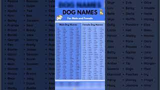The most popular male and female dog name,aso mica job profile ,#dog #dogs #doglover