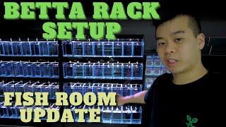 Aqua One BETTA RACK Setup | Fish Room Update