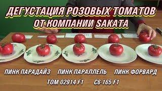 ДЕГУСТАЦИЯ РОЗОВЫХ ТОМАТОВ ОТ SAKATA - ПИНК ПАРАДАЙЗ, ПИНК ПАРАЛЛЕЛЬ, ПИНК ФОРВАРД, 02914 F1, 165 F1