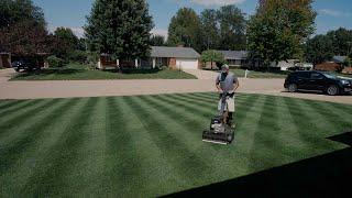 How to Mow Your Lawn Correctly // Cool Season Lawn Guide