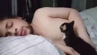 Heboh..!!! Manusia Menyusui Kucing